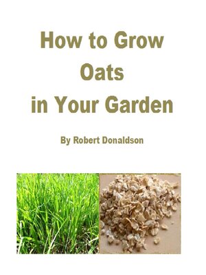 cover image of How to Grow Oats in Your Garden